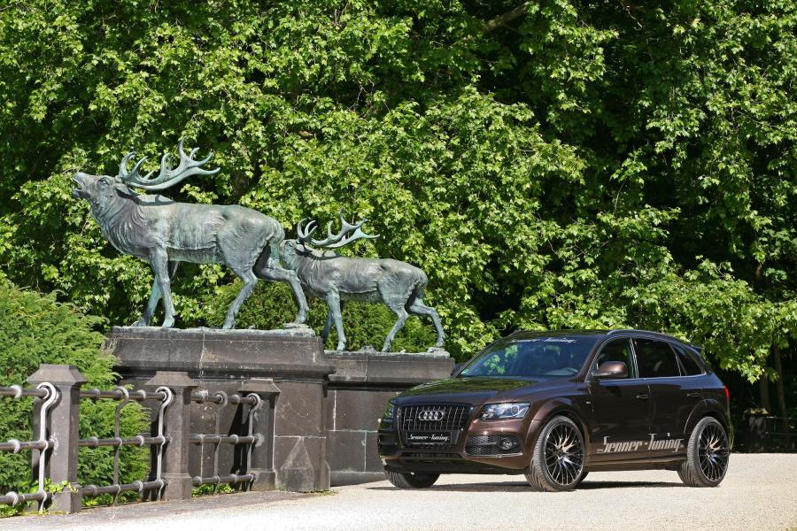  Audi Q5 by Senner Tuning (8R) 2011 года  (фото 12 из 27)